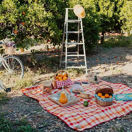 Bed & Breakfast Milreu Estoi
