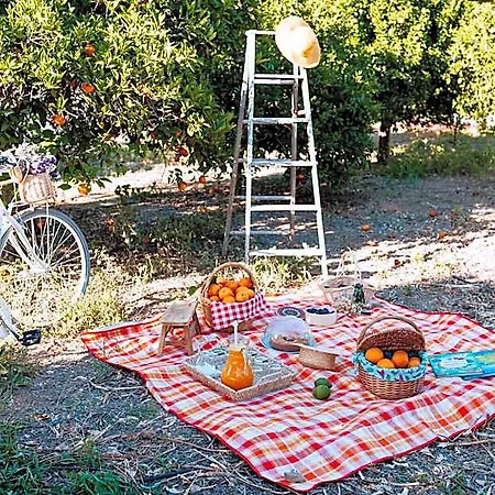 Bed & Breakfast Milreu Estoi